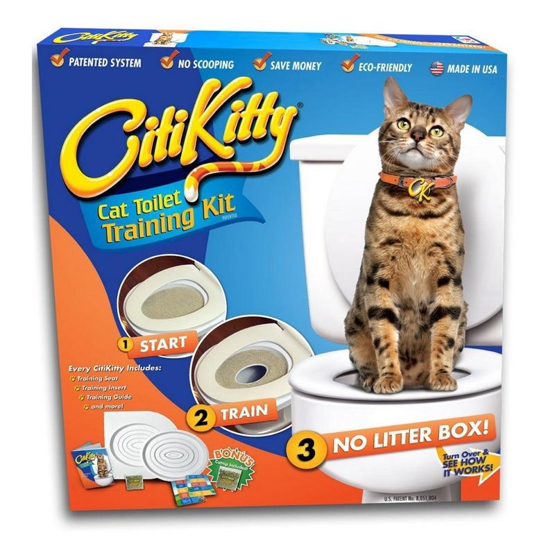 Litter box training best sale