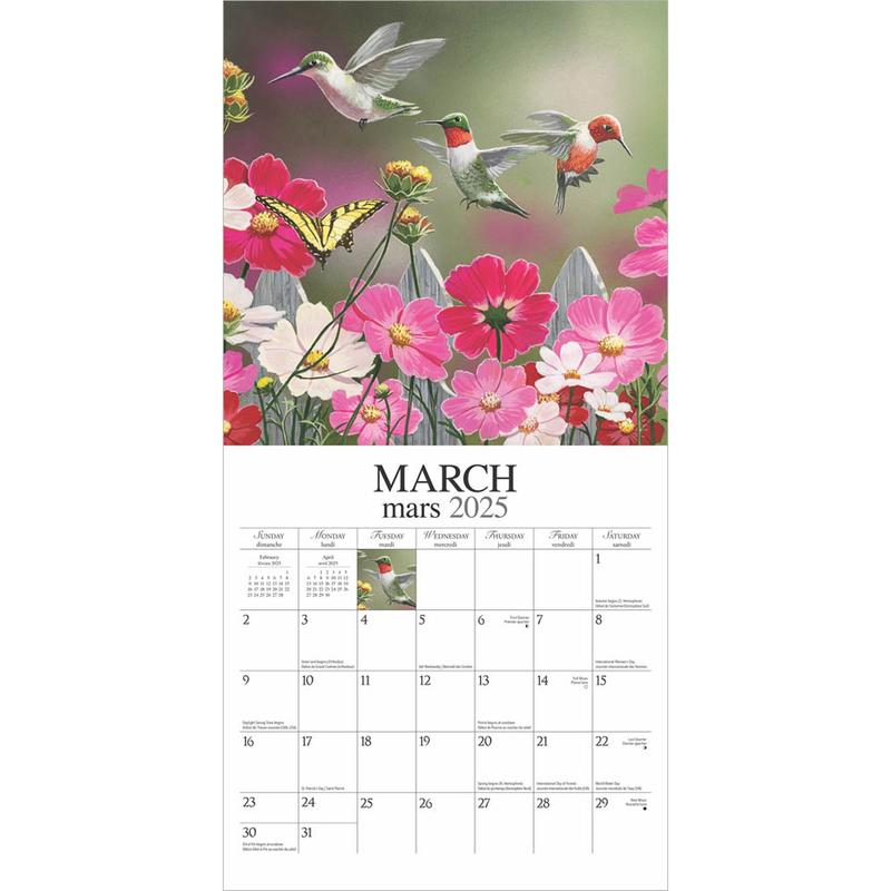 Feathered Friends | Amis a Plumes | 2025 12 x 24 Inch Monthly Square Wall Calendar | English/French Bilingual | Featuring the Artwork of William Vanderdasson | Hopper Studios | Wildlife Animals Birds 2