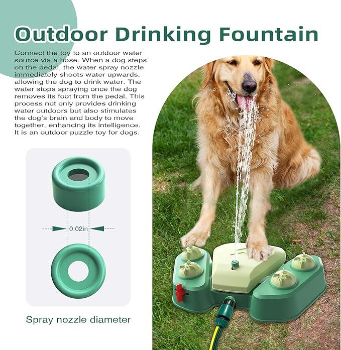 Dog water fountain connected to hose best sale