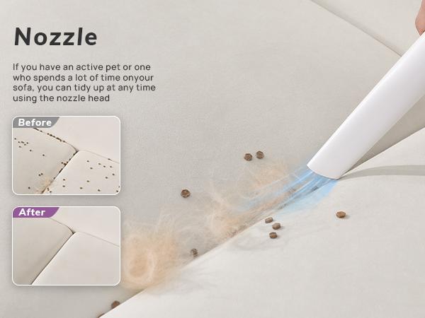 Product Introduction of Geoorood Dog Grooming  Vacuum, Professional Pet Grooming Kit with 4 Proven Tools, 13000Pa Vacuum Suction Power, 2.5L Dust Collection Reservoir & Low Noise Design for Dogs & Cats 9