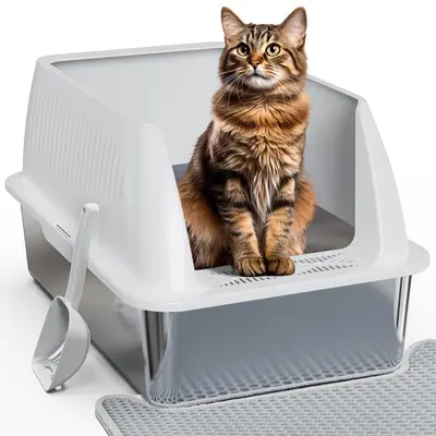 Cleaning cat litter box when pregnant best sale