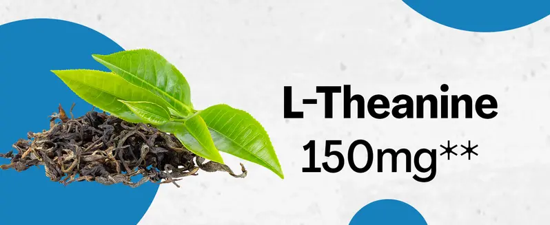 Product Introduction of Zoyava Corti-Soothe Supplement, All-in-One Cortisol Supplement with Magnesium, Ashwagandha, L-Theanine & 10+ Extra Strength Ingredients, 60 Capsules, MADE IN USA 4