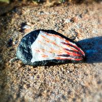 Semiprecious Stone Clothes Accessories