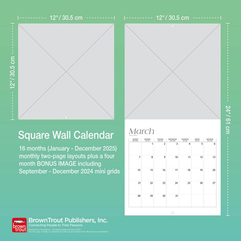 Feathered Friends | Amis a Plumes | 2025 12 x 24 Inch Monthly Square Wall Calendar | English/French Bilingual | Featuring the Artwork of William Vanderdasson | Hopper Studios | Wildlife Animals Birds 6