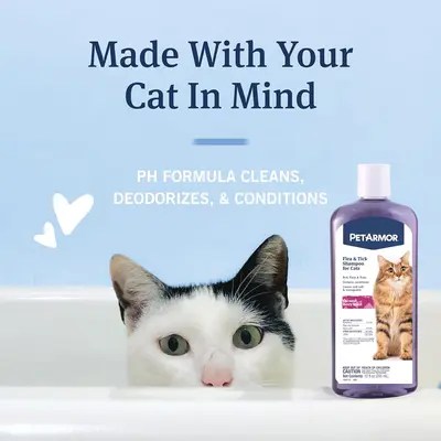 Selected Dawn Bath for Fleas Cats TikTok Shop