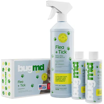 Selected Diy for Treating Fleas in Your Yard TikTok Shop