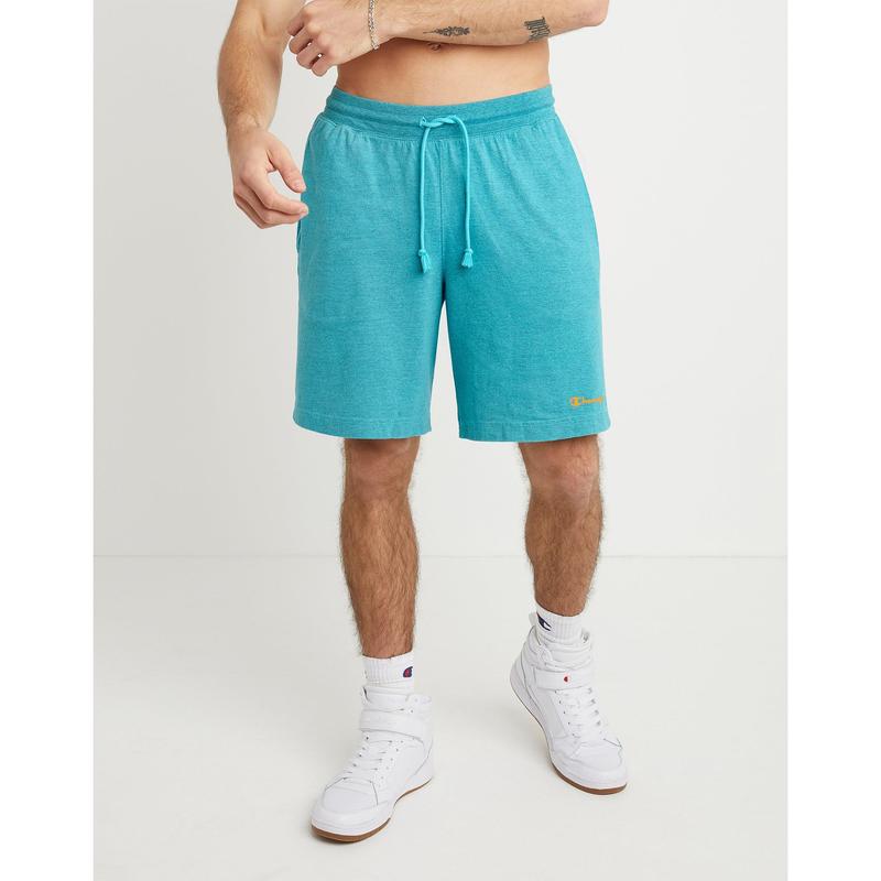 Champion script fashion logo shorts