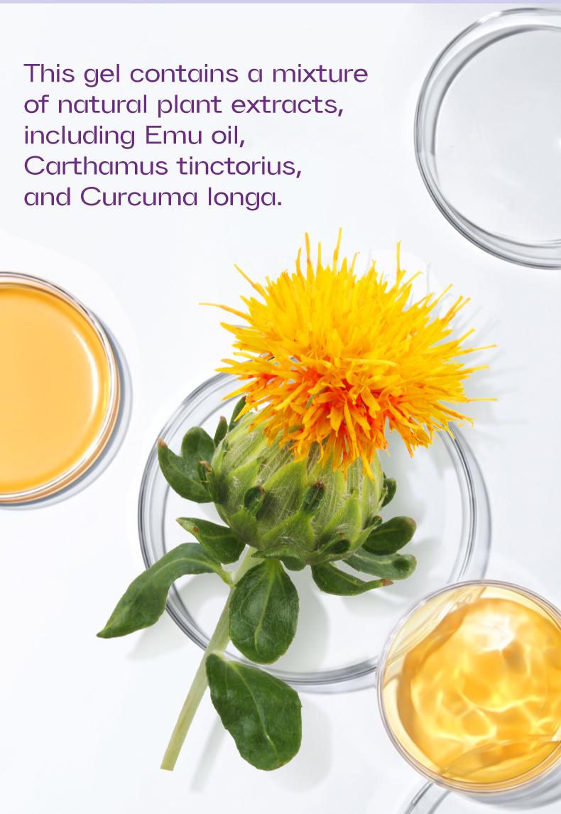 Product Introduction of Kreain 2 purple gel turmeric extract sodium sulfate chondroitin Emu oil and other natural materials 2