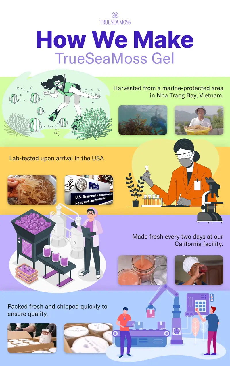 Product Introduction of TrueSeaMoss Top 3 Best-Selling Gels – 1 oz Jars: Strawberry, Cherry & Mango-Pineapple – Rich in Minerals & Vitamins – supports immunity, improves digestion, boosts energy, promotes skin & hair health 13