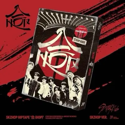Stray Kids Pack - TikTok Shop Stray Kids Pack - TikTok Shop