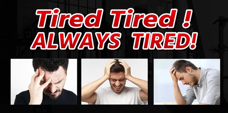 Product Introduction of Maca supplement 7