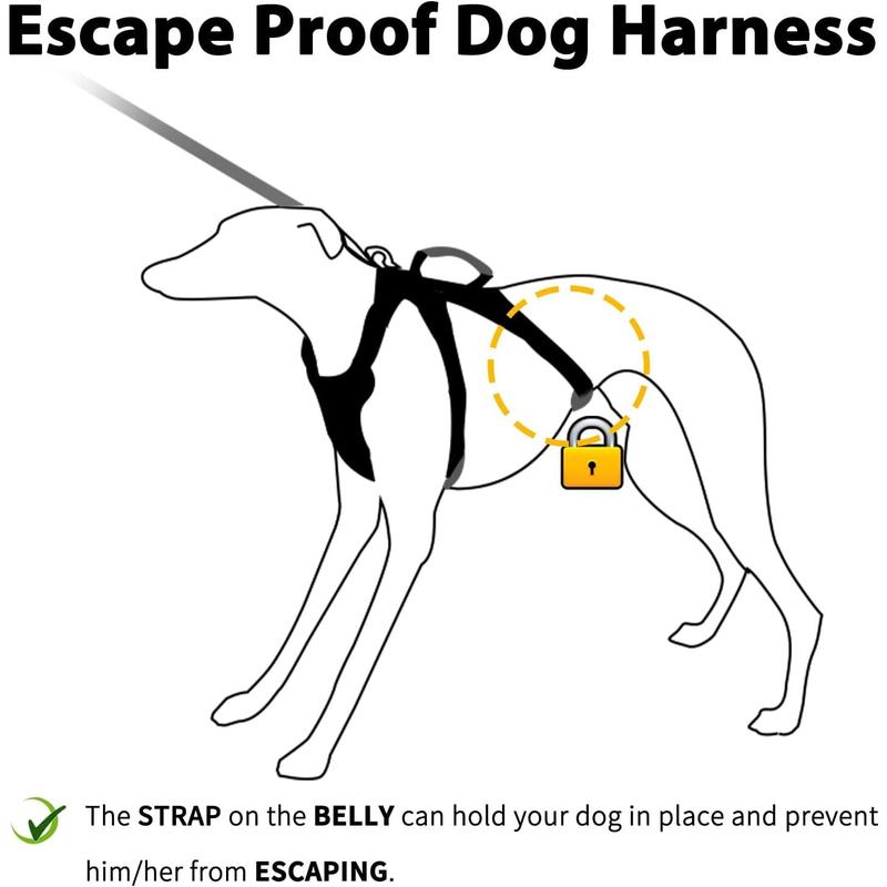 Dog escapes harness best sale