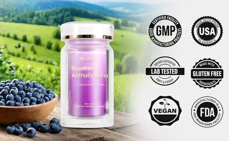 Product Introduction of 【Today 50%+OFF 】 Xuaai Blueberry Anthocyaninis NAD+ Supplement for Skin Aging Support, Energy, and Focus - 60 Capsules - Vitamin & Wellness Supplements Dietary Healthcare Edible Fitness Support eye health 6