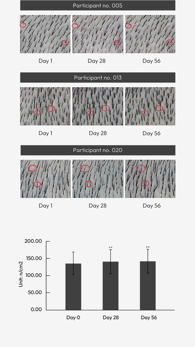 Product Introduction of BIGVITA Hair+ | Vegan Gluten Free Haircare Supplements for Women and Men, Vitamins for Healthy Natural Faster Hair Growth 9