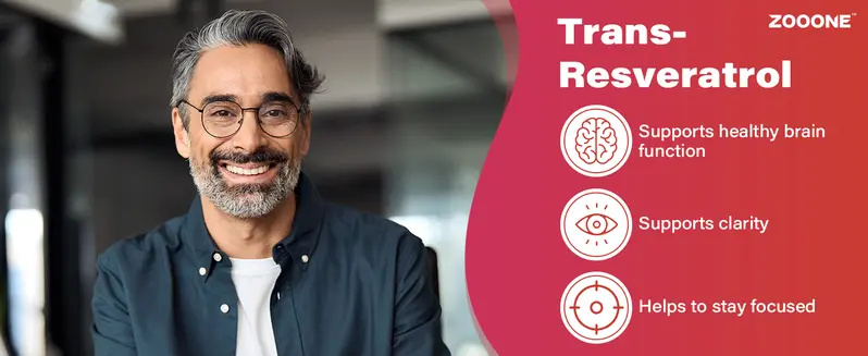 Product Introduction of ZOOONE 1000mg NAD+ Berry Flavor Drink Mix for Skin Aging Support, Energy, and Focus - 30 Pack - 2