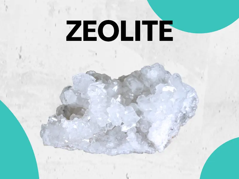 Product Introduction of Zeolite Kids Detox Gummies (Mixed Berry Flavor) - Zoyava 9-in-1 Kid Supplement for Brain, Fitness, and Overall Healthcare - 60 Edible Gummies - Made in USA 3