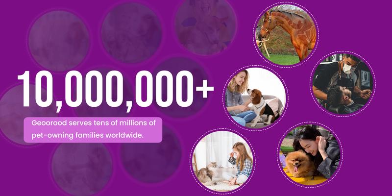 Product Introduction of Geoorood Dog Grooming  Vacuum, Professional Pet Grooming Kit with 4 Proven Tools, 13000Pa Vacuum Suction Power, 2.5L Dust Collection Reservoir & Low Noise Design for Dogs & Cats 11