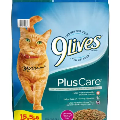 Selected High Protein Cat Food Budget TikTok Shop