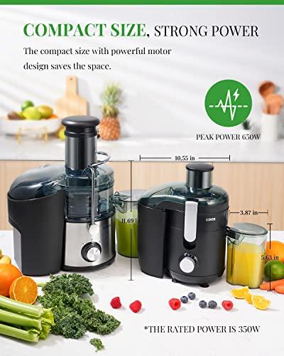 Juice Genie: Top Effortless Portable Juice Blender