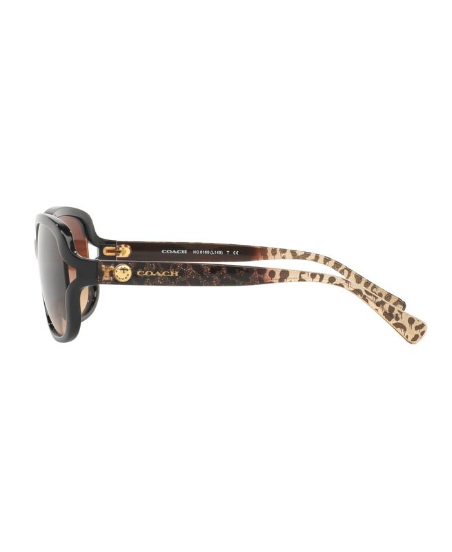 Coach sunglasses hc8169 best sale