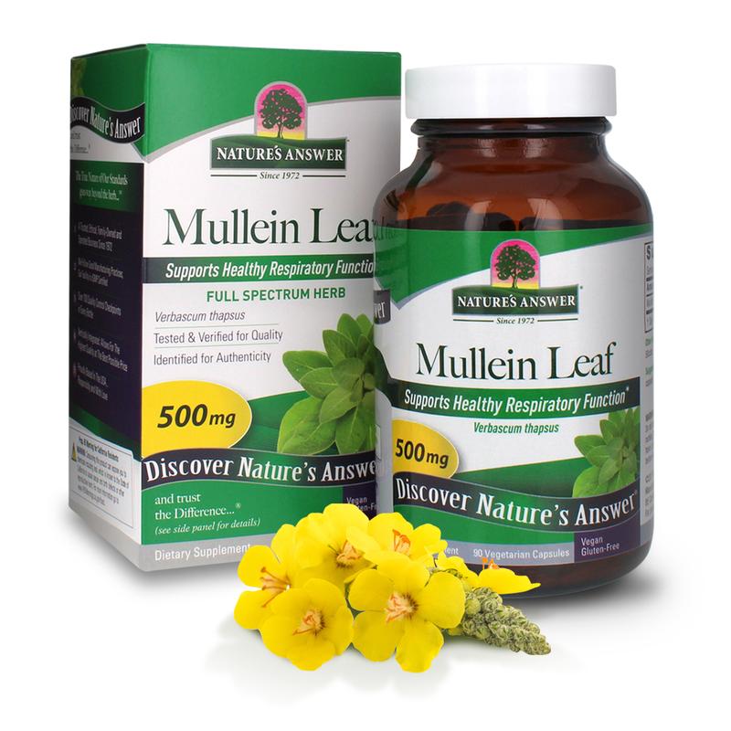 Organic Mullein Leaf Cut & Sifted – 100% Pure Non-GMO Verbascum Thapsus For Respiratory Tea