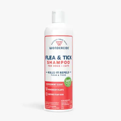 Selected Diy Flea Shampoo for Dogs TikTok Shop