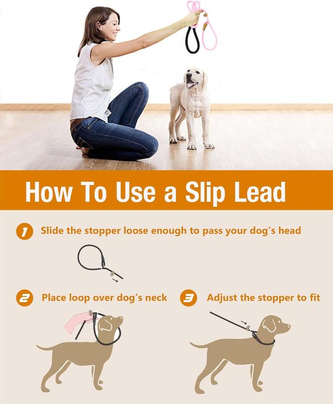 Dog training leads and leashes best sale