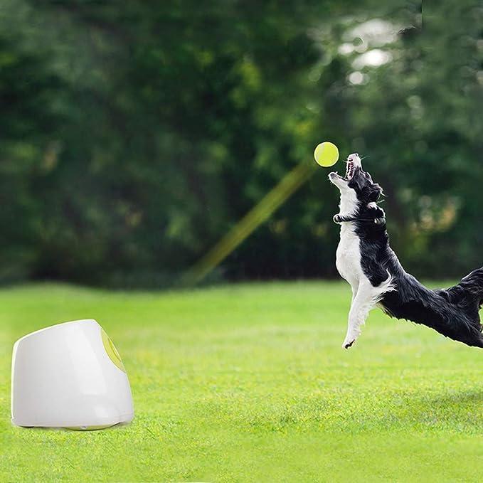 Dog ball toss fashion machine