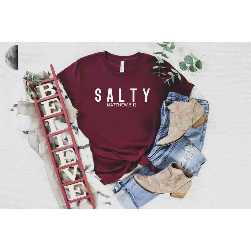 Salty and Light Christian Hoodie Salty and Light Christian Hoodie
