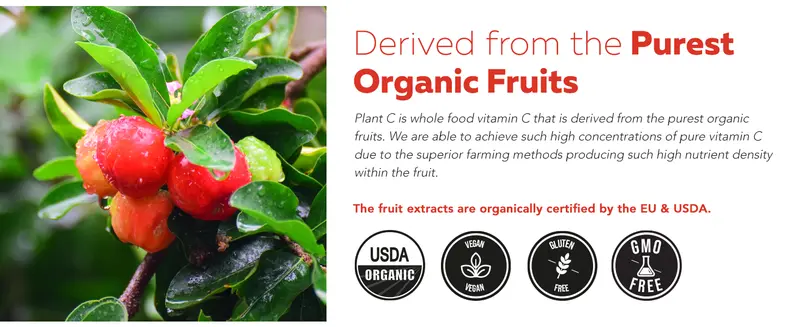 Product Introduction of Organic Vitamin C Liquid | 250 mg Whole Food Vitamin C with Natural Cofactors – Supports Immune Health and Antioxidants – 96 Servings 8