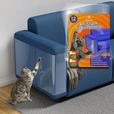 How to protect leather furniture from cats best sale