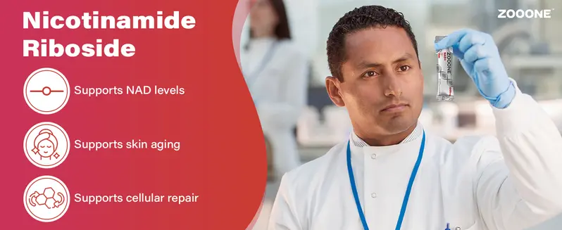 Product Introduction of ZOOONE 1000mg NAD+ Berry Flavor Drink Mix for Skin Aging Support, Energy, and Focus - 30 Pack - 1