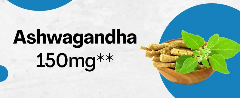 Product Introduction of Zoyava Corti-Soothe Supplement, All-in-One Cortisol Supplement with Magnesium, Ashwagandha, L-Theanine & 10+ Extra Strength Ingredients, 60 Capsules, MADE IN USA 3