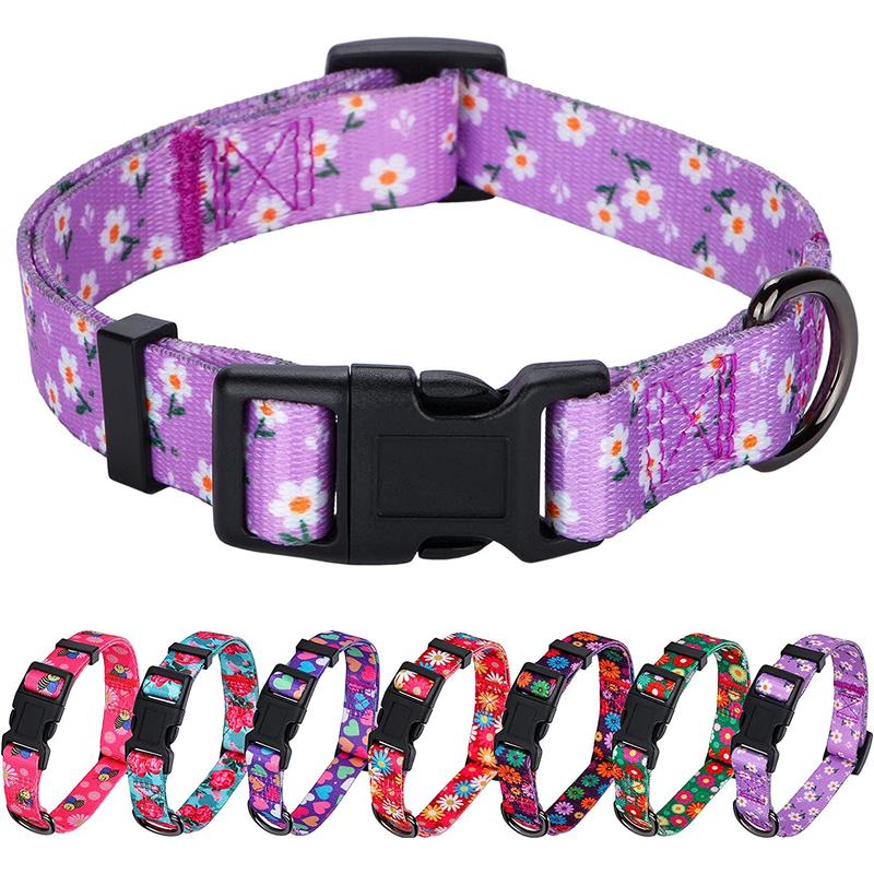 Girls in dog collars hotsell