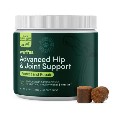 Hip dysplasia supplements best sale