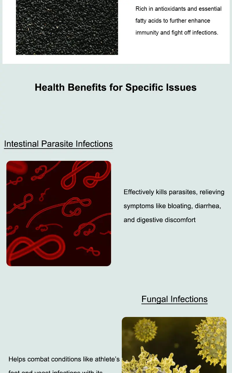 Product Introduction of YEJEON Oregano Oil with Black Seed Oil—Immune Repair, Detox, Anti-Inflammatory, Eases Bloating — 60 Softgels 6