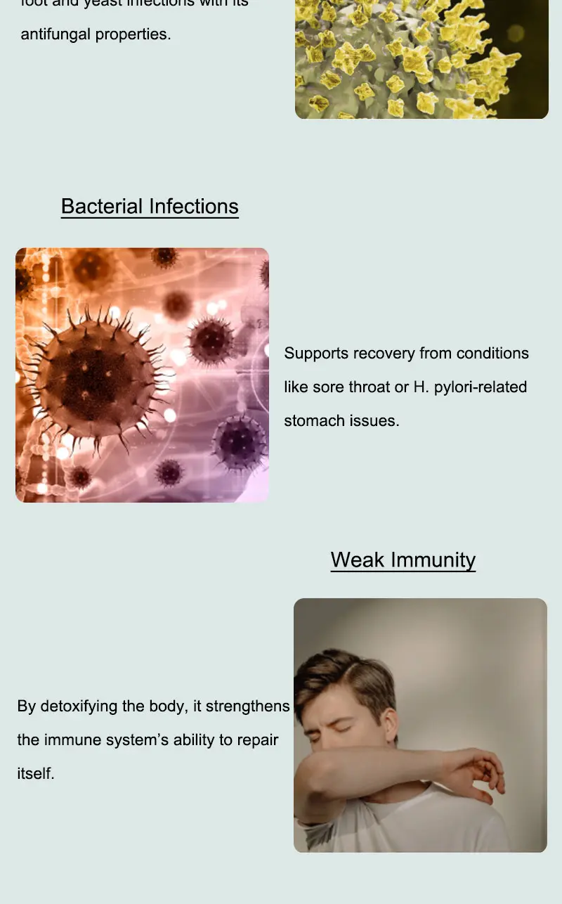 Product Introduction of YEJEON Oregano Oil with Black Seed Oil—Immune Repair, Detox, Anti-Inflammatory, Eases Bloating — 60 Softgels 7