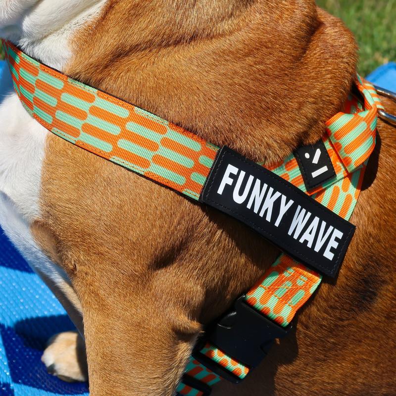 Funky dog harness best sale