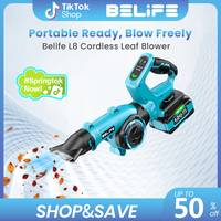 Leaf Blowers & Vacuums