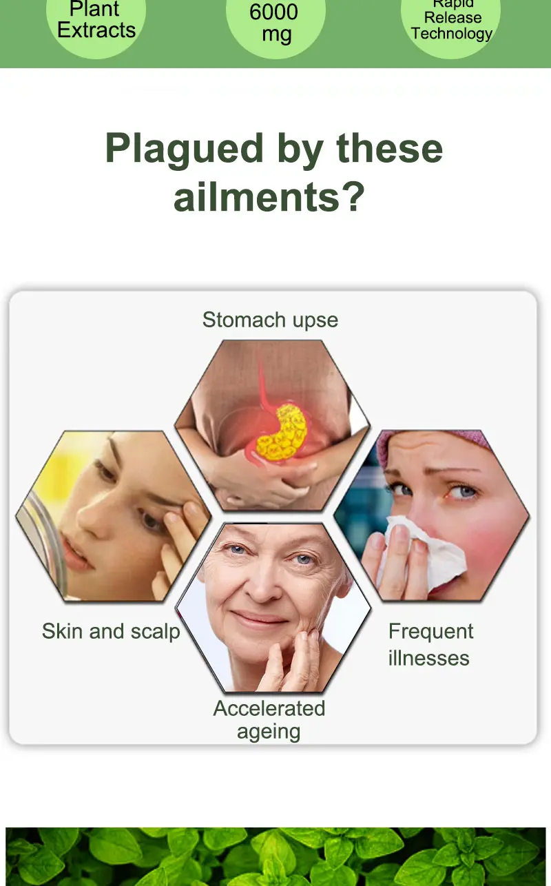 Product Introduction of YEJEON Oregano Oil with Black Seed Oil—Immune Repair, Detox, Anti-Inflammatory, Eases Bloating — 60 Softgels 4