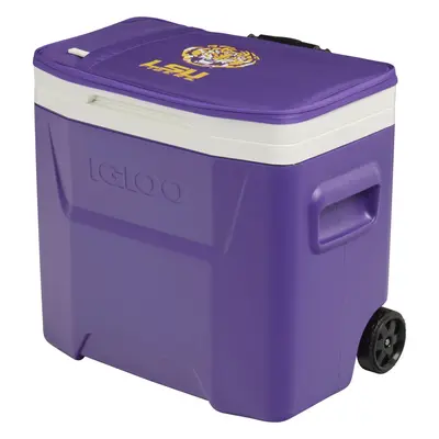 Purple Cooler TikTok Shop