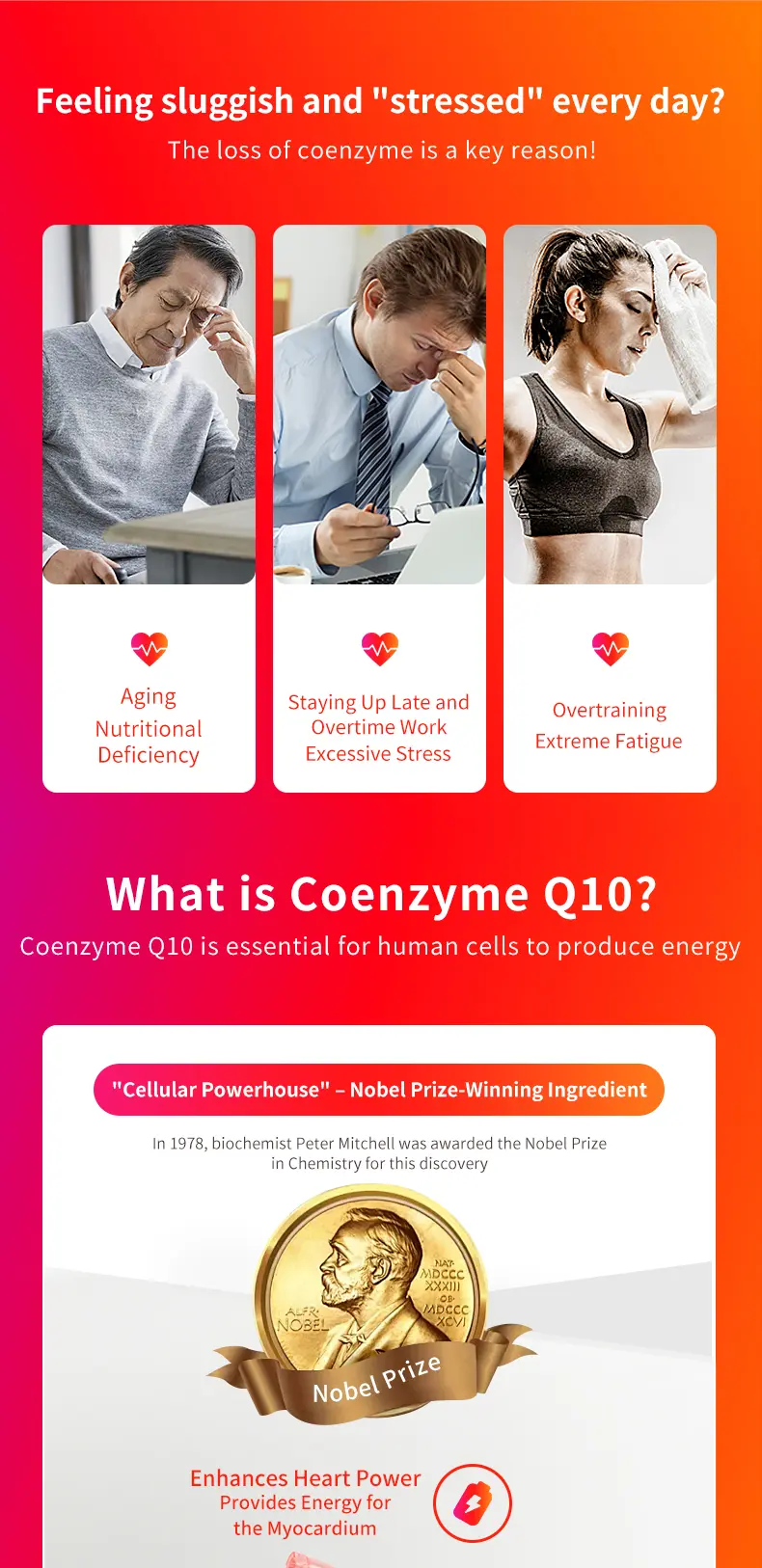 Product Introduction of MegaRed Health High-content Coenzyme Q10 Soft Capsule for Staying Up Late to Protect Heart and Myocardium 200mg*90 Pills/60Pills/30Pills Fathersdaygift Supplement Edible Vitamin Healthcare Dietary 1