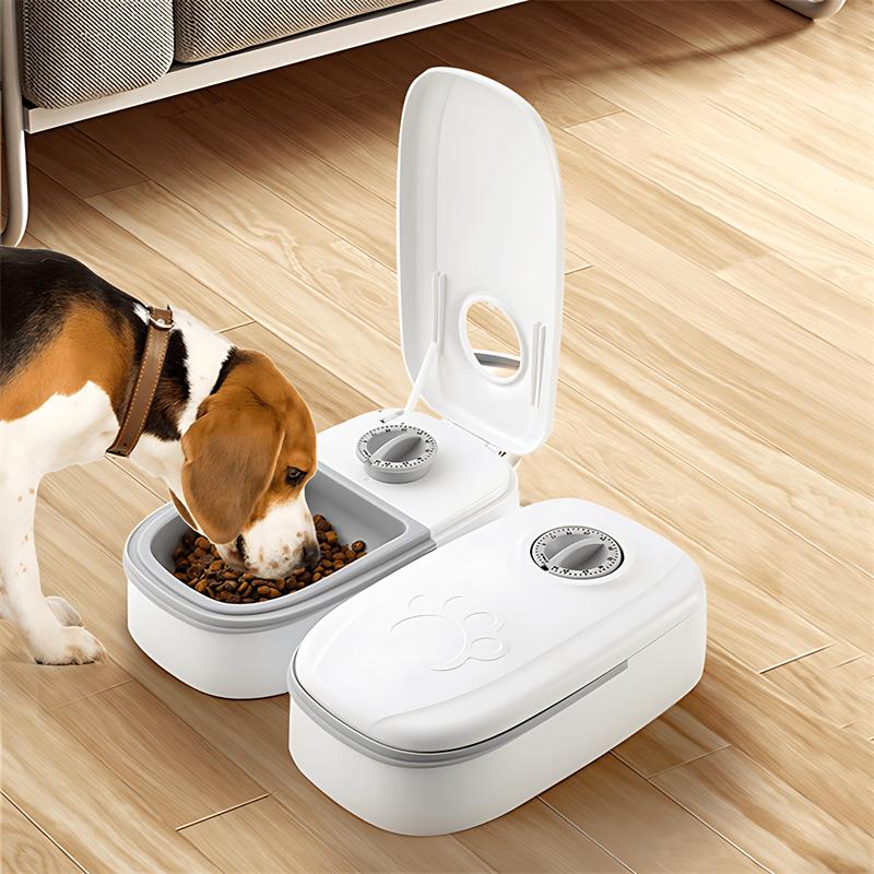 Dog bowl timer best sale