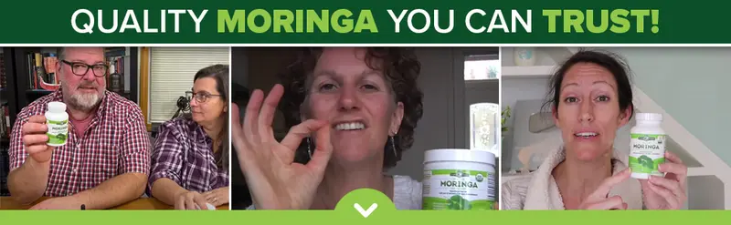 Product Introduction of Moringa Powder Capsules Organic - Pura Vida Moringa Leaf. Energy, Metabolism, & Immune Support. 120ct. 500mg Caps. Supplement Healthcare 1