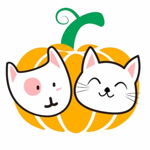PetPumpkin